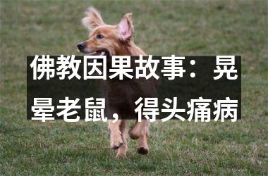 <h3>佛教因果故事：晃晕老鼠，得头痛病