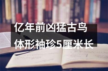 亿年前凶猛古鸟 体形袖珍5厘米长