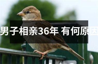 <h3>男子相亲36年 有何原因