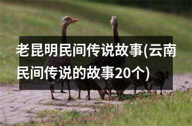 <h3>老昆明民间传说故事(云南民间传说的故事20个)