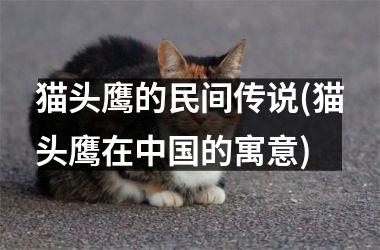 <h3>猫头鹰的民间传说(猫头鹰在的寓意)