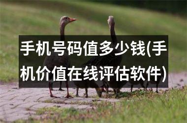 <h3>手机号码值多少钱(手机价值在线评估软件)