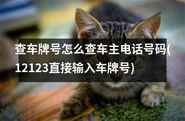 <h3>查车牌号怎么查车主电话号码(12123直接输入车牌号)