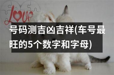 <h3>号码测吉凶吉祥(车号最旺的5个数字和字母)