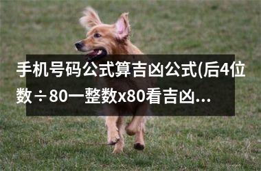 手机号码公式算吉凶公式(后4位数÷80一整数x80看吉凶)