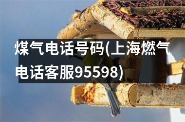 煤气电话号码(上海燃气电话客服95598)