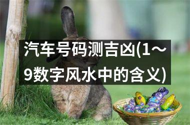 汽车号码测吉凶(1～9数字风水中的含义)