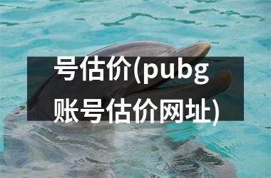 <h3>号估价(pubg账号估价网址)