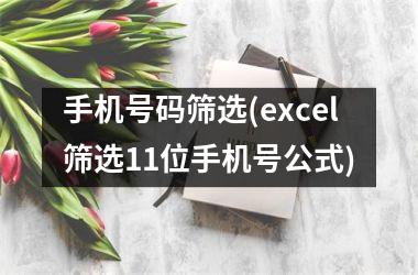 <h3>手机号码筛选(excel筛选11位手机号公式)