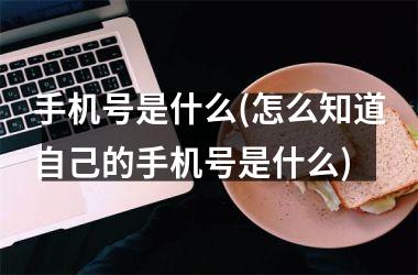 <h3>手机号是什么(怎么知道自己的手机号是什么)