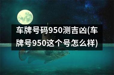 车牌号码950测吉凶(车牌号950这个号怎么样)