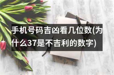 手机号码吉凶看几位数(为什么37是不吉利的数字)