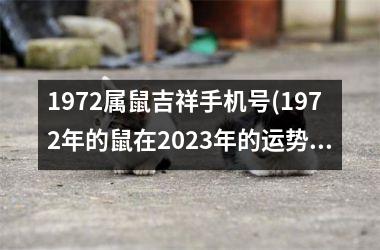 1972属鼠吉祥手机号(1972年的鼠在2025年的运势)