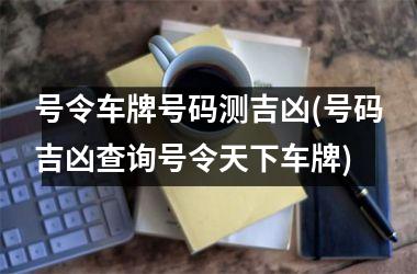 号令车牌号码测吉凶(号码吉凶查询号令天下车牌)