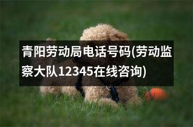 <h3>青阳劳动局电话号码(劳动监察大队12345在线咨询)