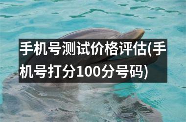 手机号测试价格评估(手机号打分100分号码)