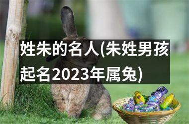 姓朱的名人(朱姓男孩起名2025年属兔)