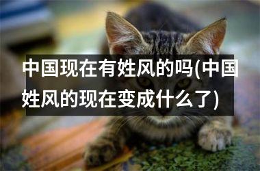 <h3>现在有姓风的吗(姓风的现在变成什么了)