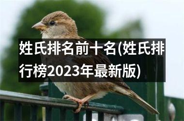 <h3>姓氏排名前十名(姓氏排行榜2025年新版)