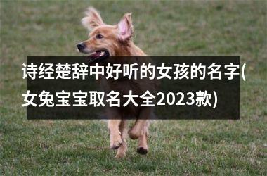 <h3>诗经楚辞中好听的女孩的名字(女兔宝宝取名大全2025款)