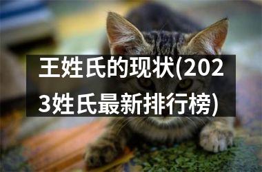 王姓氏的现状(2025姓氏最新排行榜)