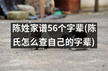 <h3>陈姓家谱56个字辈(陈氏怎么查自己的字辈)