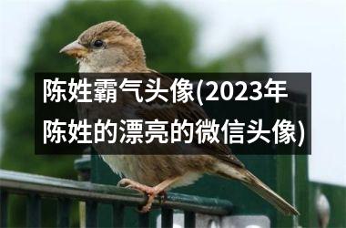 <h3>陈姓霸气头像(2025年陈姓的漂亮的微信头像)