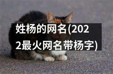 <h3>姓杨的网名(2025最火网名带杨字)