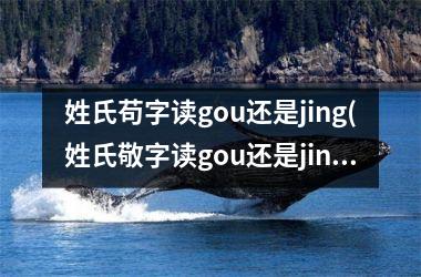 <h3>姓氏苟字读gou还是jing(姓氏敬字读gou还是jing人口)