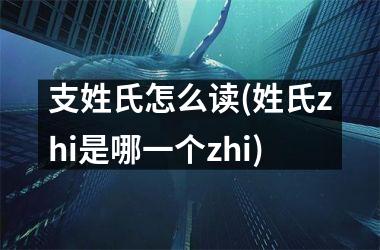 <h3>支姓氏怎么读(姓氏zhi是哪一个zhi)