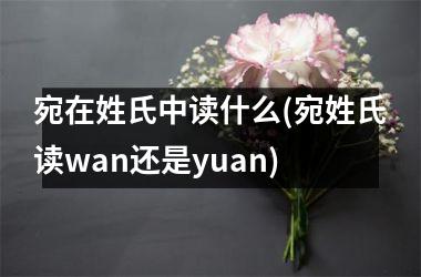 <h3>宛在姓氏中读什么(宛姓氏读wan还是yuan)