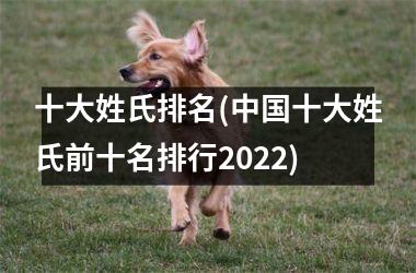 <h3>十大姓氏排名(十大姓氏前十名排行2025)