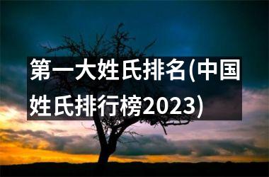 <h3>第一大姓氏排名(姓氏排行榜2025)