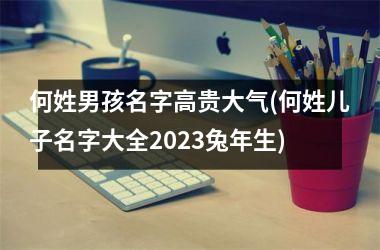 <h3>何姓男孩名字高贵大气(何姓儿子名字大全2025兔年生)