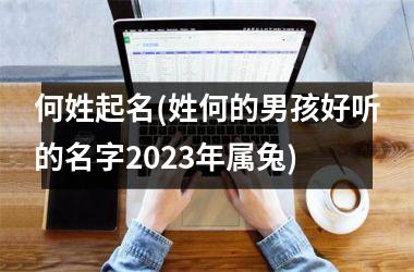 <h3>何姓起名(姓何的男孩好听的名字2025年属兔)