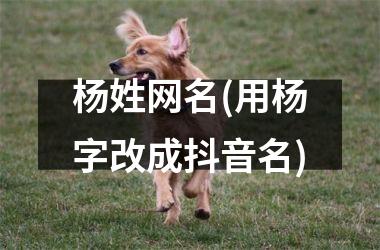 杨姓网名(用杨字改成抖音名)