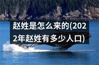 <h3>赵姓是怎么来的(2025年赵姓有多少人口)