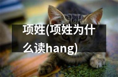 <h3>项姓(项姓为什么读hang)