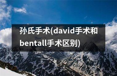 <h3>孙氏手术(david手术和bentall手术区别)