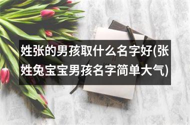 <h3>姓张的男孩取什么名字好(张姓兔宝宝男孩名字简单大气)