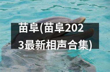 <h3>苗阜(苗阜2025最新相声合集)