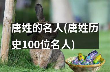 <h3>唐姓的名人(唐姓历史100位名人)