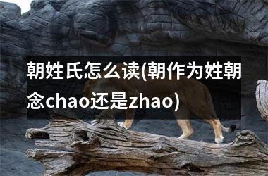 <h3>朝姓氏怎么读(朝作为姓朝念chao还是zhao)