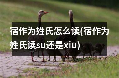 <h3>宿作为姓氏怎么读(宿作为姓氏读su还是xiu)