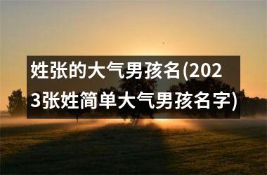 <h3>姓张的大气男孩名(2025张姓简单大气男孩名字)