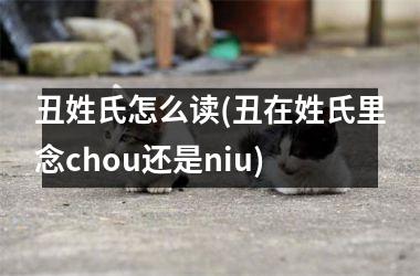 <h3>丑姓氏怎么读(丑在姓氏里念chou还是niu)