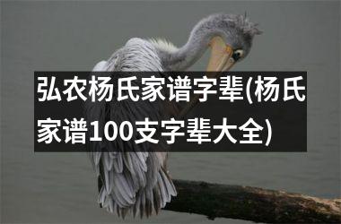 弘农杨氏家谱字辈(杨氏家谱100支字辈大全)