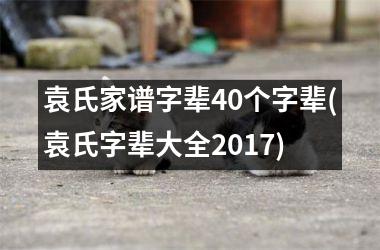 <h3>袁氏家谱字辈40个字辈(袁氏字辈大全2017)