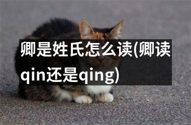 卿是姓氏怎么读(卿读qin还是qing)