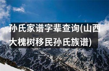 <h3>孙氏家谱字辈查询(山西大槐树移民孙氏族谱)